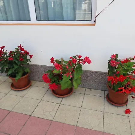 Guest house Pensiunea Cetina 2*