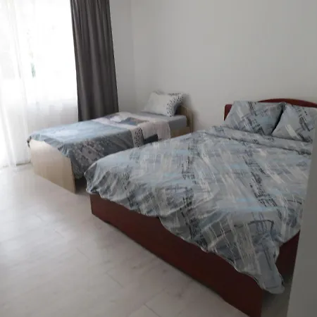 Pensiunea Cetina 2* Brad (Hunedoara)