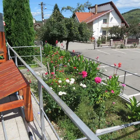 Pensiunea Cetina Guest house