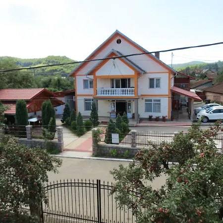 Pensiunea Cetina Guest house Brad (Hunedoara)