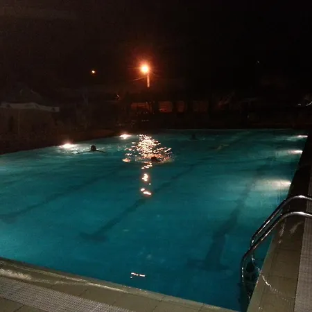 Guest house Pensiunea Cetina Brad (Hunedoara)